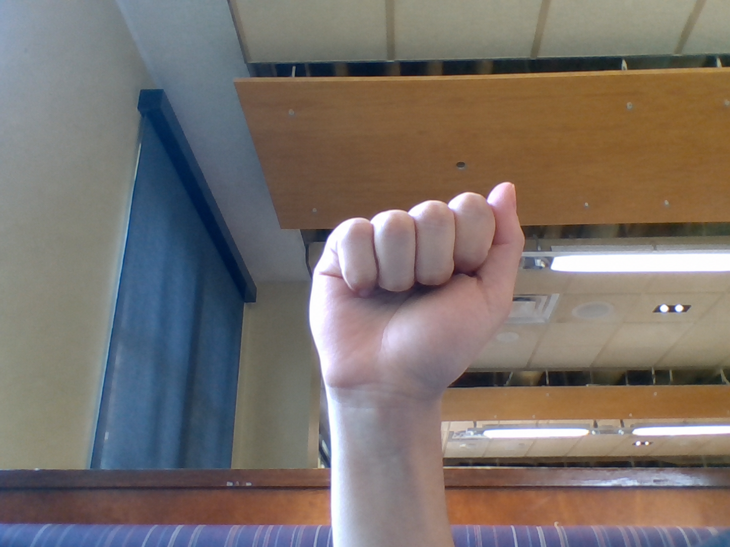 Clean webcam frame of a hand forming the ASL letter A before computer-vision processing